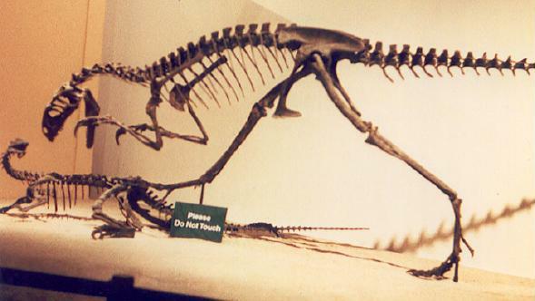 Original display (George E. Wilson / photo)